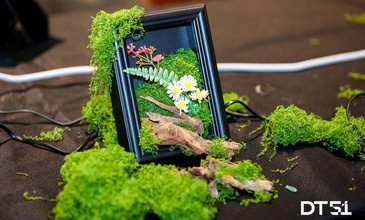 DT51金秋活动持续升温 多元体验丰富周末生活