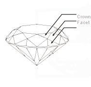 Crown Facets(冠部刻面)
