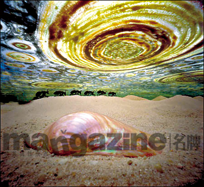 周展 用针孔窥探世界