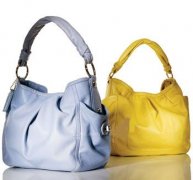 Coach ͷִɫ