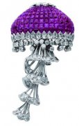 Van Cleef & Arpels 鱦