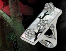 Van Cleef & Arpels ʯɫɾ֮