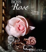 DIORϰƳȫBois de Rose߼鱦