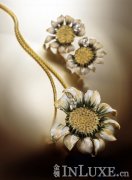 Annamaria Cammilli鱦 غʱк (1)