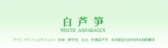 ߲ӡwhite asparagusɫ«