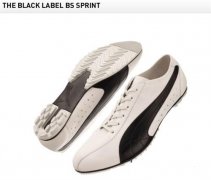 (Puma) 2010¿