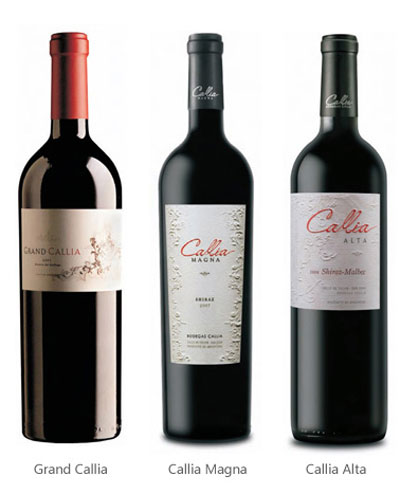 Callia ׯ