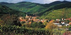 Alsace Ѿׯ԰