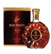 Remy Martin ͷXOEĸ