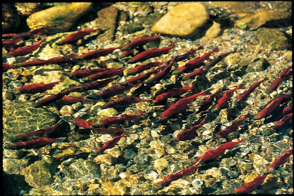 ����һ�� ȥ���ô��ͺ��������