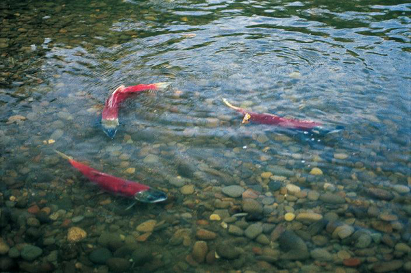 ����һ�� ȥ���ô��ͺ��������