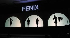 FENIX˽鱦䡱  VIPҫݻɶ