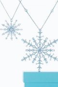 2009 Tiffany Blue Book鱦
