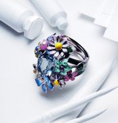 ݻѤ Dior¿ιʶĿ