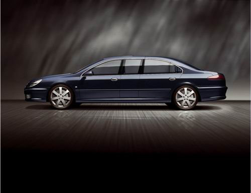 ������ͳ���������� ����607 Paladine(3)