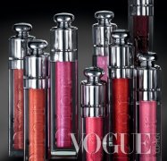 Diorϰ£2010ȫȻ󴽲