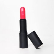 ɺ硱 Giorgio Armani 2010ױ