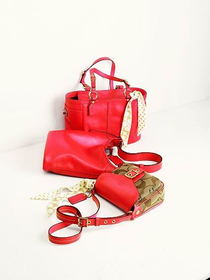 �������DFS�ݳ�Ʒ��֮��(��ͼ)