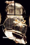 D&G2006ʥرϵ