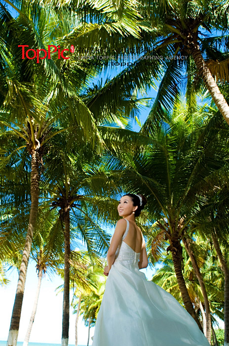 ��ɴ��-����֮��